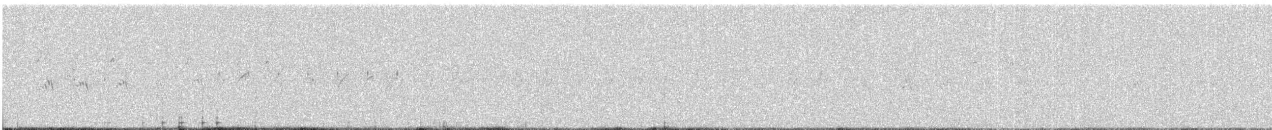 Plain Prinia - ML647013595