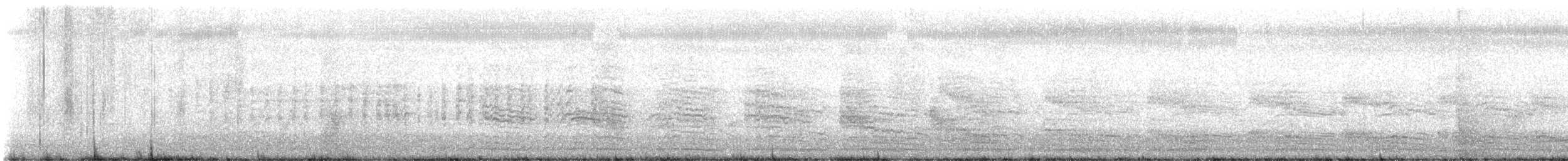 White-breasted Waterhen - ML647013612