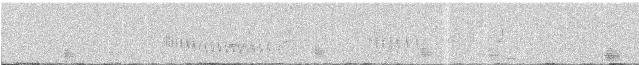 Asian Koel - ML647013640