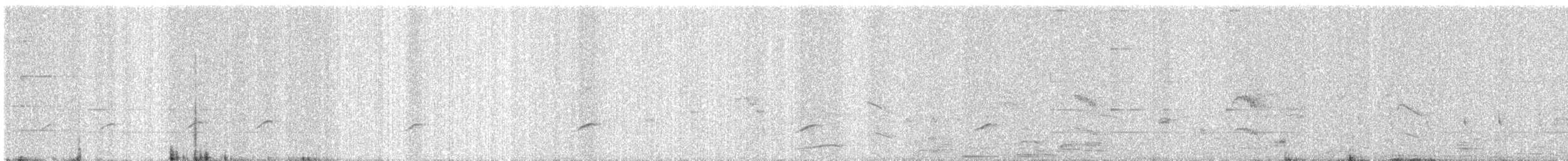 Black-winged Kite - ML647013686