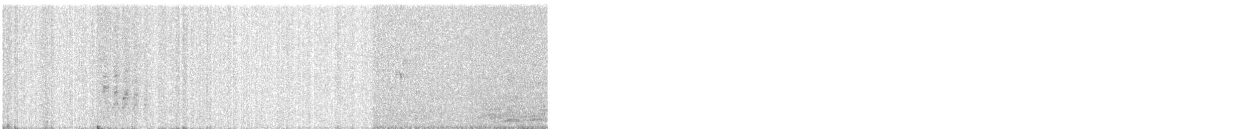 Spotted Owlet - ML647013705