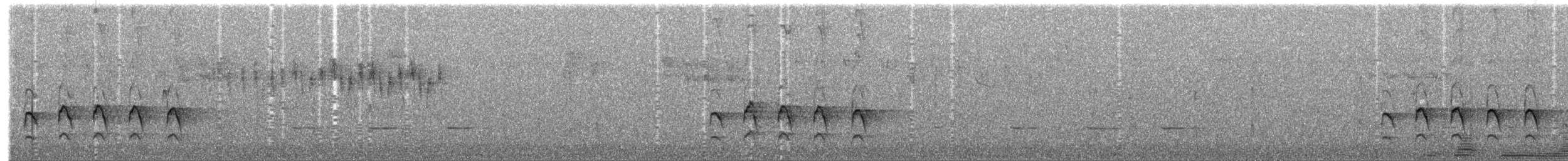 Purple-backed/Variegated Fairywren - ML647013941