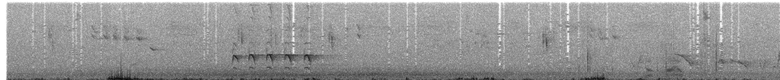 Purple-backed/Variegated Fairywren - ML647013943