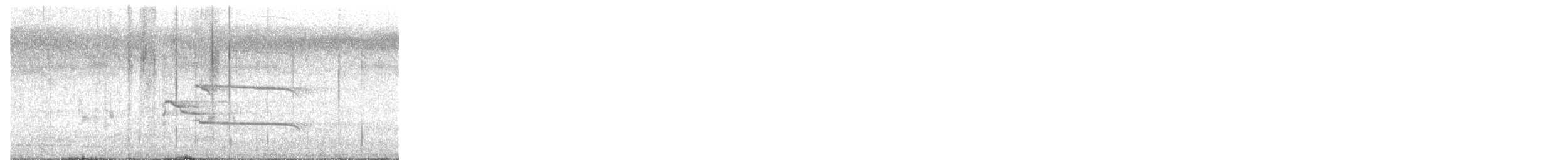 Indian Gray Hornbill - ML647014029