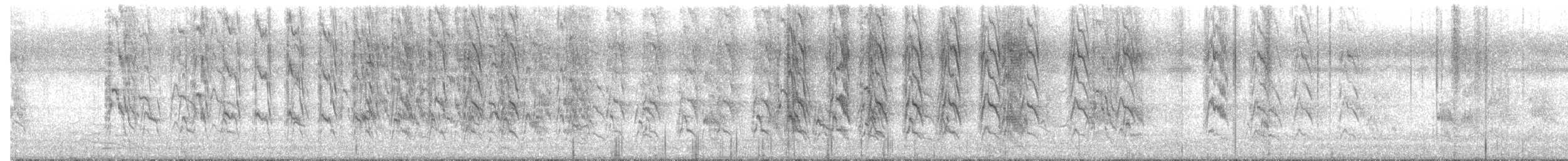 Rose-ringed Parakeet - ML647014056