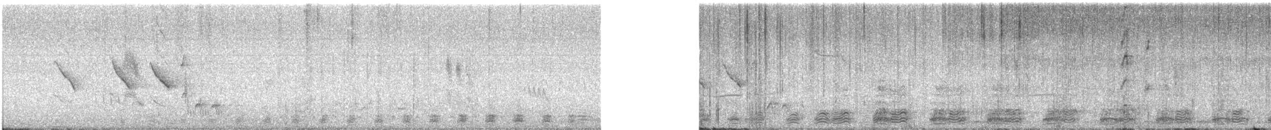 Monteiro's Hornbill - ML647014427