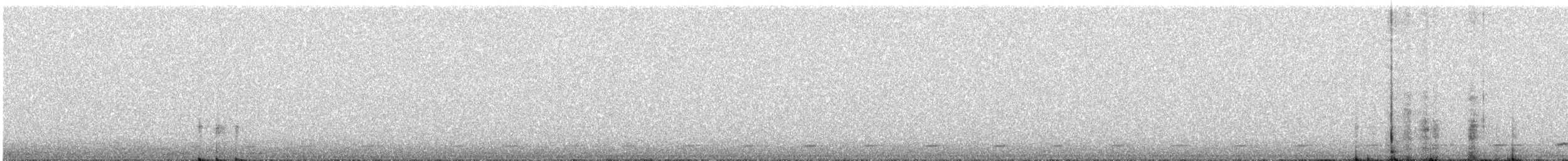 Northern Saw-whet Owl - ML647014430