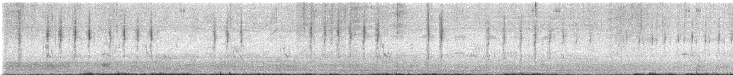 Desert Cisticola - ML647014533