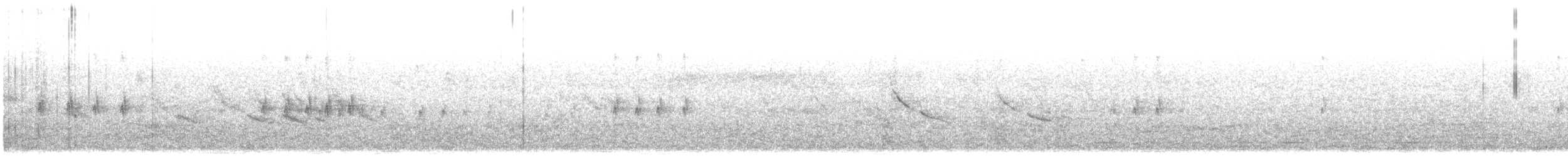 křivka obecná (ssp. poliogyna) - ML647014724