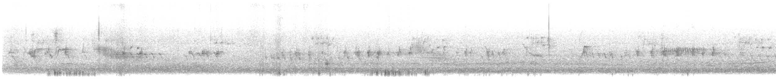křivka obecná (ssp. poliogyna) - ML647014725
