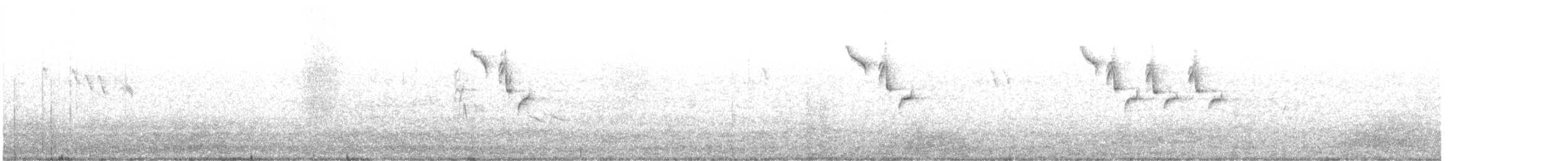 sýkora modrá - ML647014734