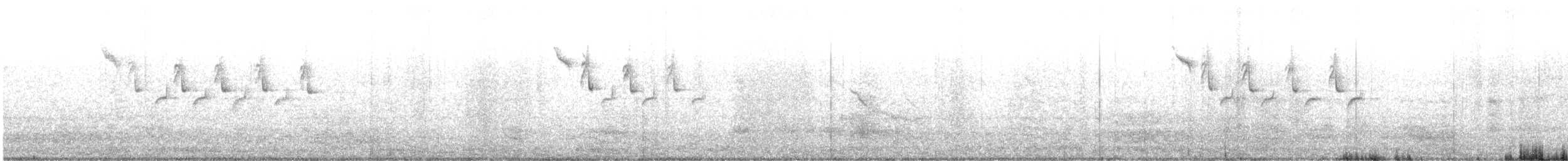 sýkora modrá - ML647014735