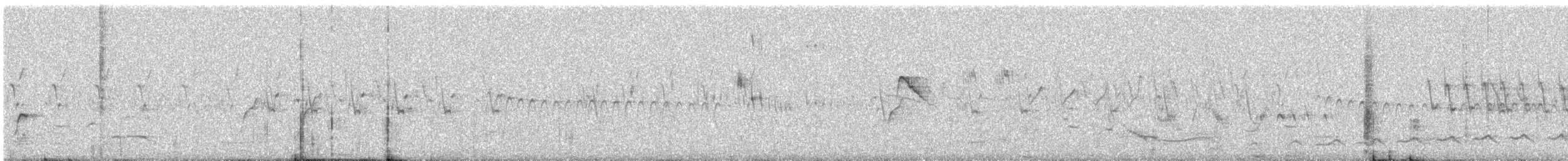 Common Babbler - ML647015340