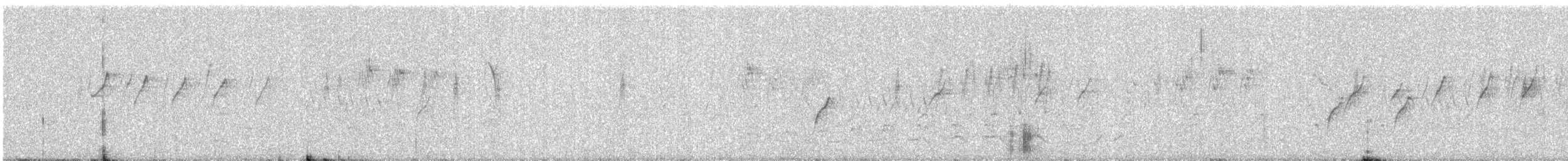 Common Tailorbird - ML647015371