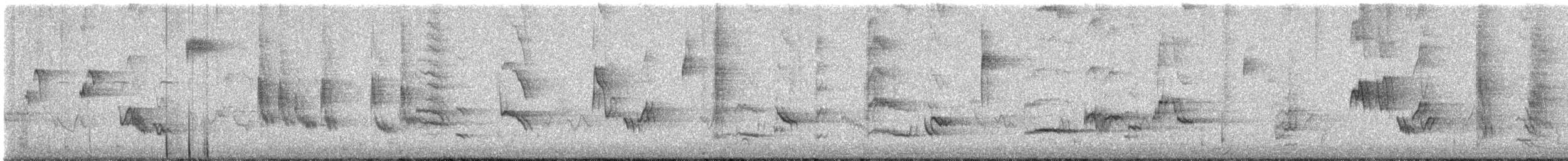 ימימן אמריקני - ML647015614