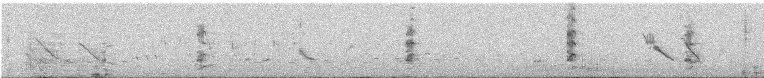 skjæreerle - ML647015626