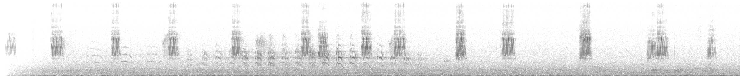 Chilean Swallow - ML647016090