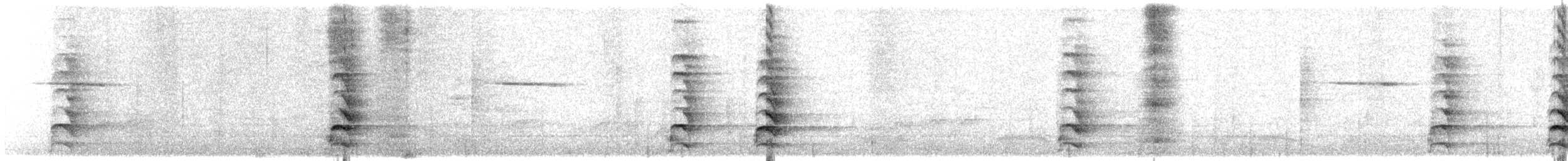 White-bellied Woodpecker - ML647018475