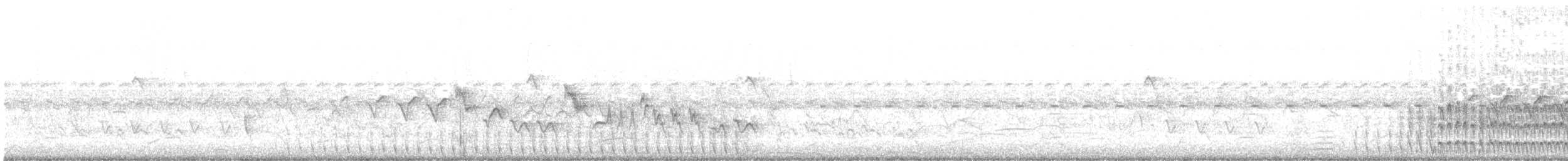 Red-and-white Crake - ML647019174