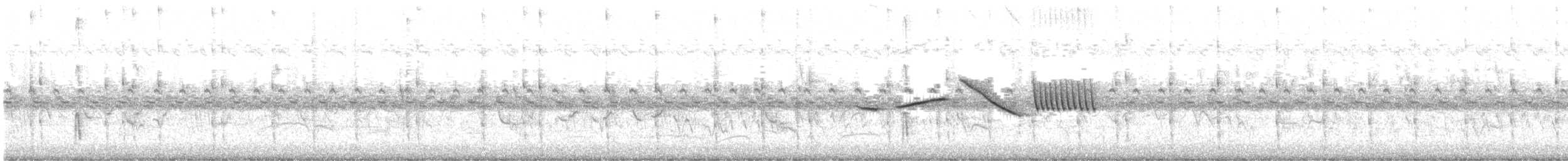 Curve-billed Reedhaunter - ML647019210