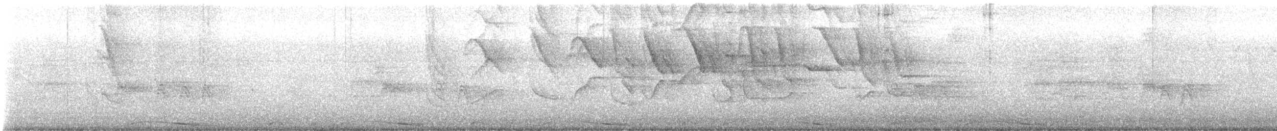 Pale-vented Pigeon - ML647019299