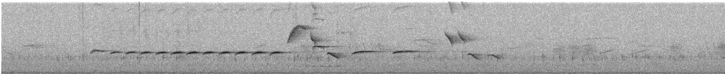 White-bellied Sholakili - ML647019368