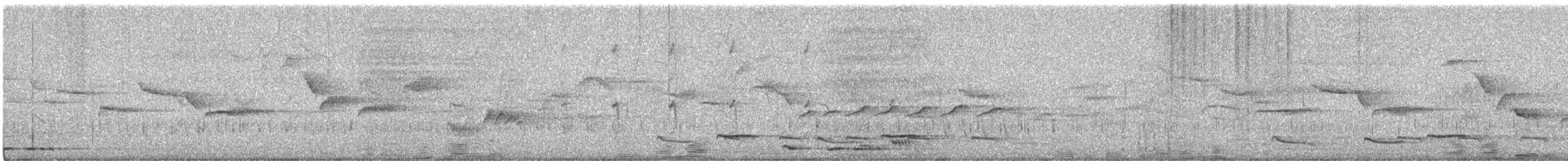 Indian Scimitar-Babbler - ML647019380