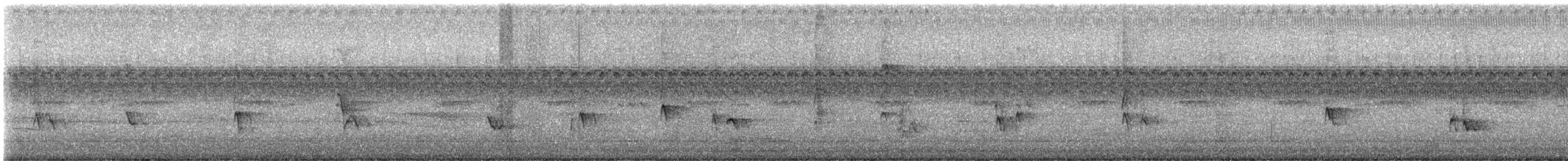 Carolina Wren - ML647019515