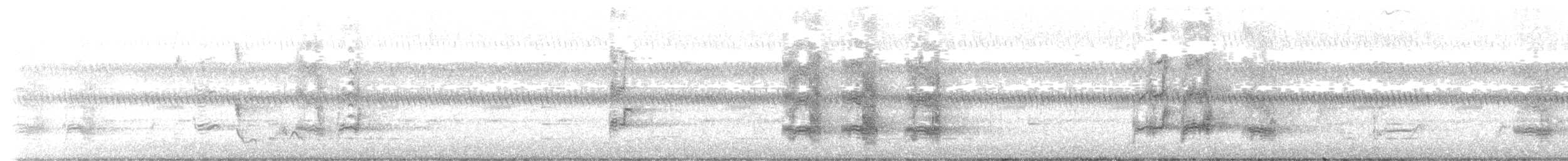 Brown-necked Parrot - ML647019673