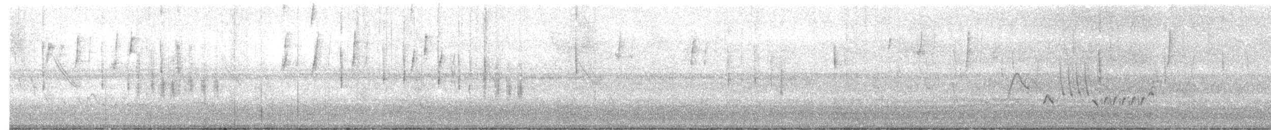 Fork-tailed Flycatcher - ML647019876