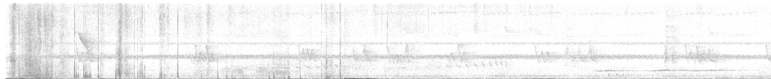 Undulated Tinamou - ML647019966