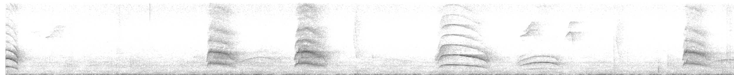 White Woodpecker - ML647020100