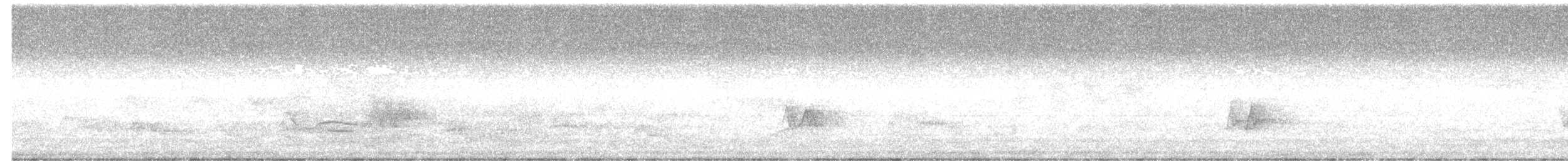 Chivi Vireo - ML647020108