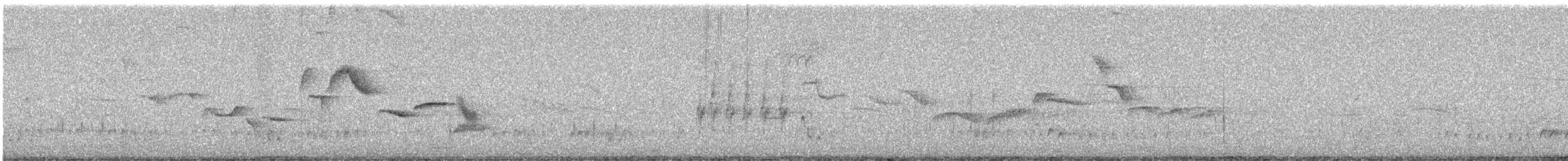 White-bellied Sholakili - ML647020340