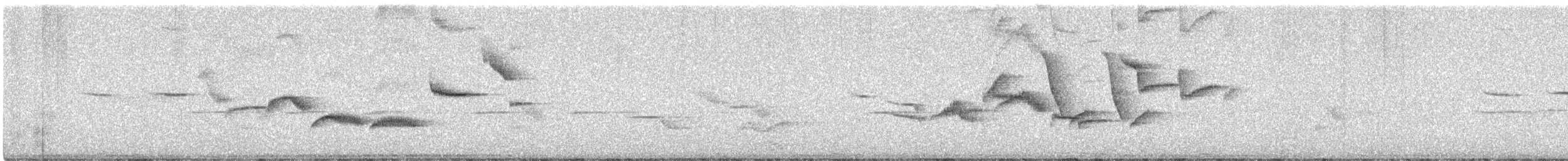 White-bellied Sholakili - ML647020343