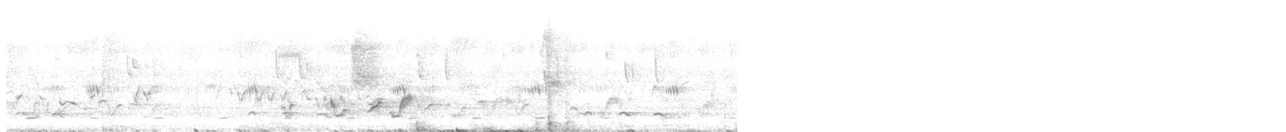 Coucou solitaire - ML647021361