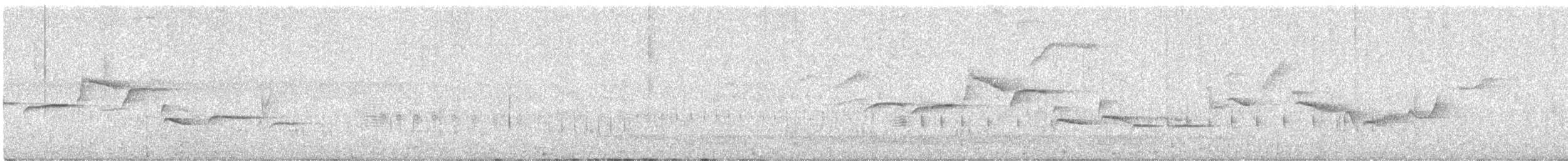 White-bellied Sholakili - ML647021380