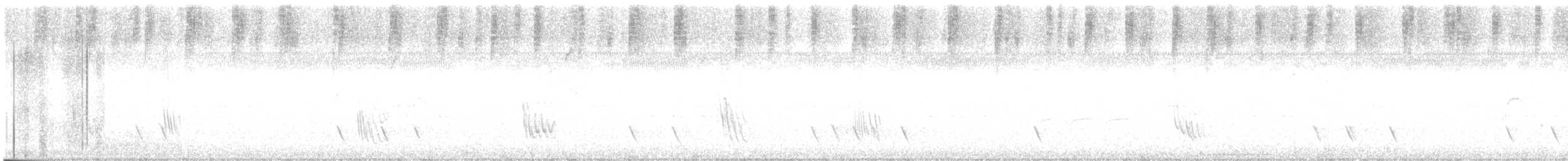 jiřička neotropická - ML647021890