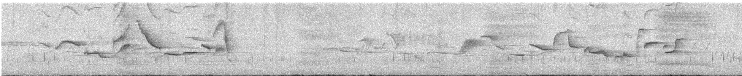 White-bellied Sholakili - ML647021920