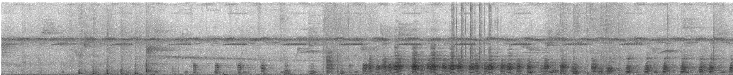 Boat-billed Heron - ML647023106