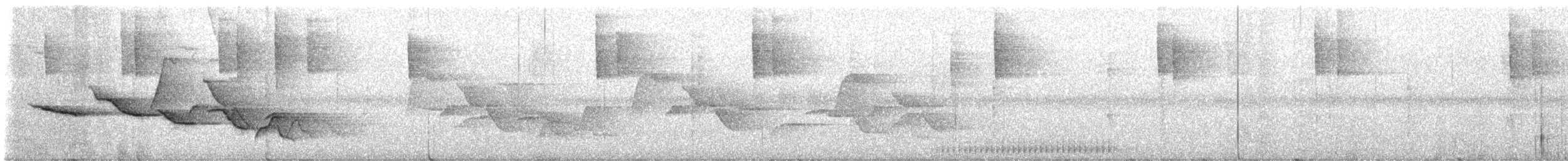 Fleckenbrust-Zaunkönig - ML647023301