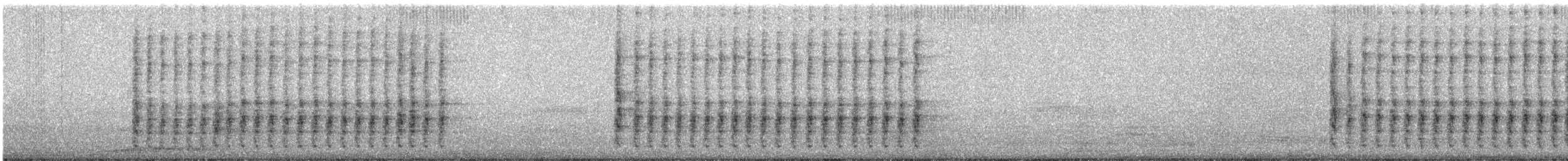 Hoffmann's Woodpecker - ML647023344