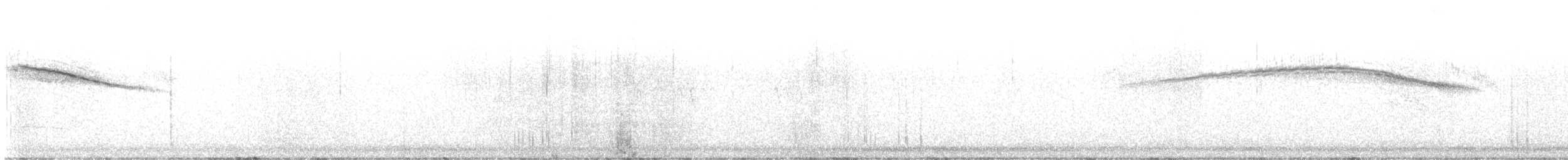 Costa's Hummingbird - ML647023487