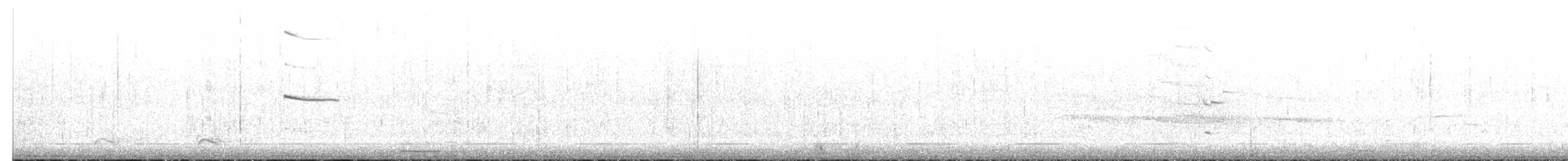 racek kroužkozobý - ML647024034