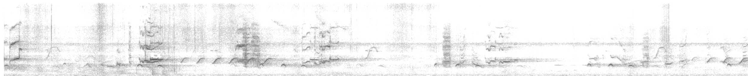 Coucou solitaire - ML647024125