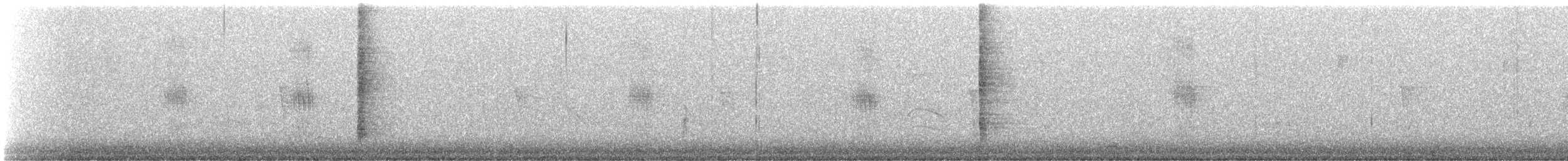 Long-billed Thrasher - ML647024566