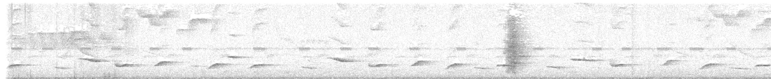 Yellow-backed Oriole - ML647025133