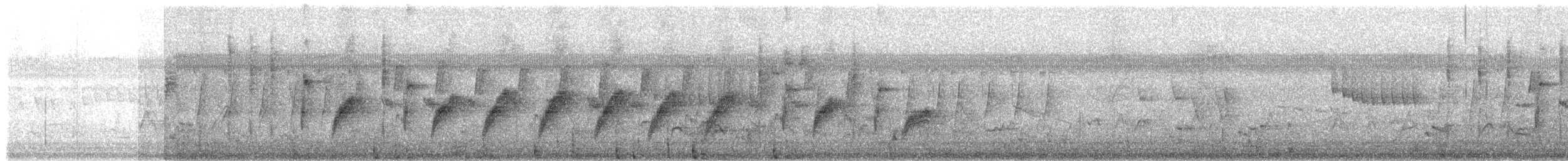 Black Crake - ML647025398