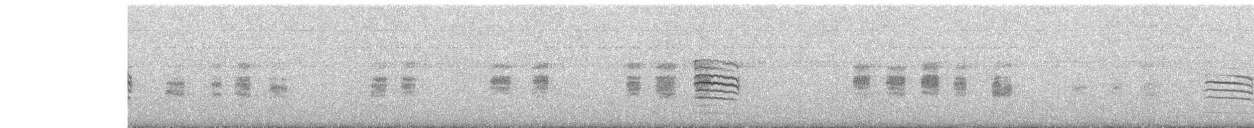 Ashy Prinia - ML647025930