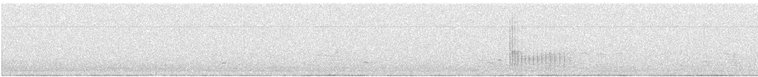 Belted Kingfisher - ML647026348